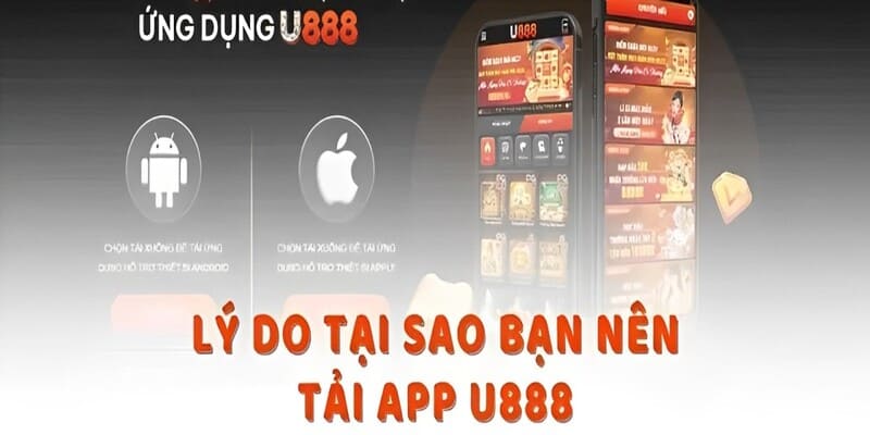 Lý do người dùng nên download ứng dụng nhà cái
