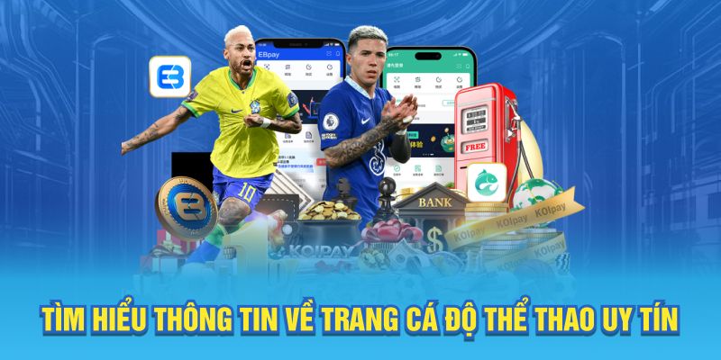 Tìm hiểu thông tin về trang cá độ thể thao uy tín
